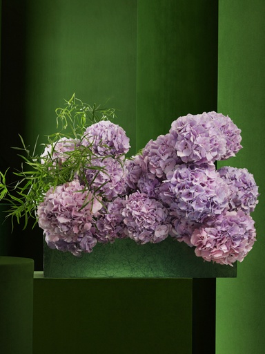Shop Purple Hydrangea in Bliss Rectangle Box