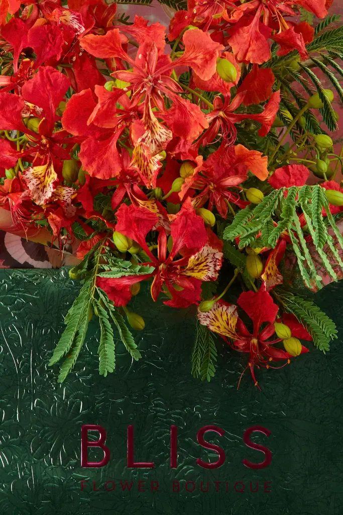 2W0A0326 копия.webp