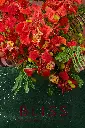 2W0A0326 копия.webp