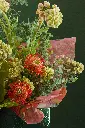 2W0A0342 копия.webp