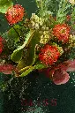 2W0A0358 (2).webp