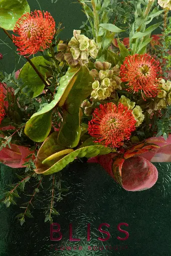 2W0A0358 (2).webp