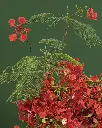 hf_20260519_103701_d35d510e-be6c-4b36-99bc-f67f7f75fd14.webp