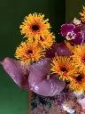 BLISS-090.webp