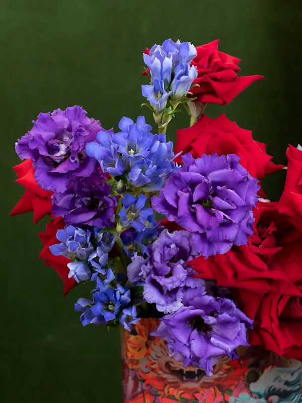 BLISS-223.webp