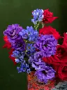 BLISS-223.webp