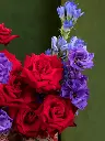 BLISS-225.webp