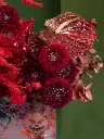 BLISS-060.webp