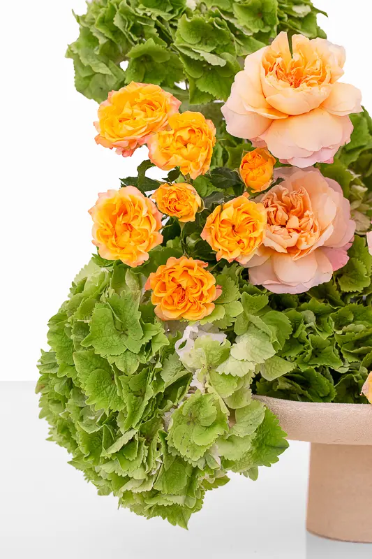 2023-06-12_BLISS_03-9.webp