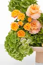 2023-06-12_BLISS_03-9.webp