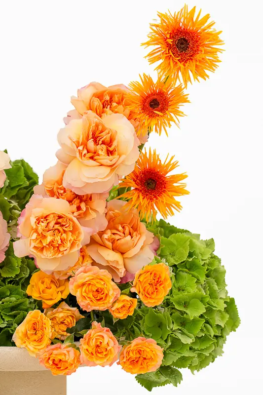 2023-06-12_BLISS_03-7.webp
