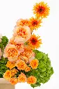 2023-06-12_BLISS_03-7.webp