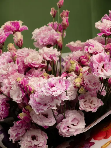 Bliss-3207.webp