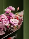 Bliss-3206.webp