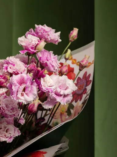 Bliss-3206.webp