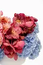 2023-06-12_BLISS_04-9.webp