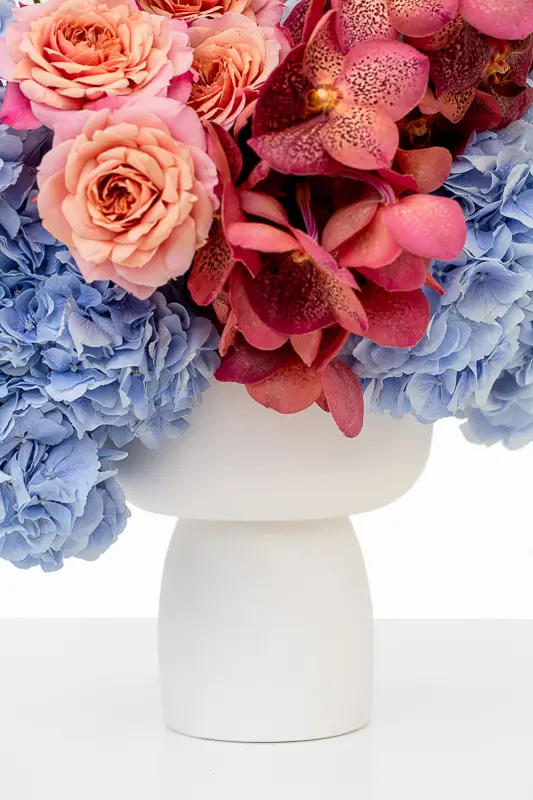 2023-06-12_BLISS_04-8.webp