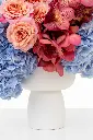 2023-06-12_BLISS_04-8.webp