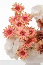 2023-06-12_BLISS_05-10.webp