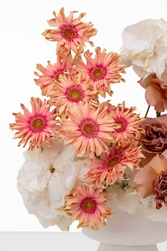2023-06-12_BLISS_05-10.webp