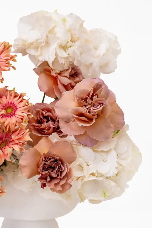 2023-06-12_BLISS_05-9.webp