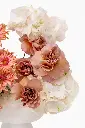 2023-06-12_BLISS_05-9.webp