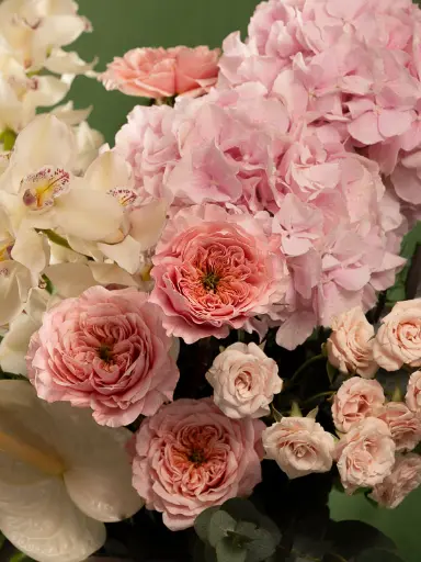 Bliss-1419.webp