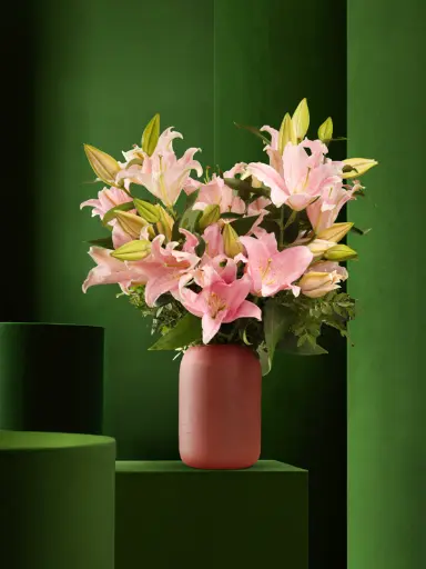 Bliss-1675.webp