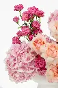 2023-06-12_BLISS_02-10.webp