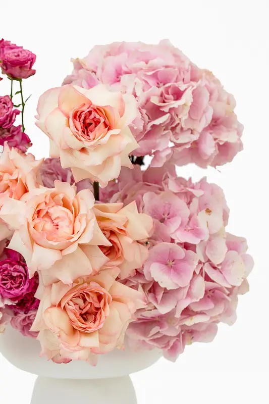 2023-06-12_BLISS_02-9.webp