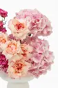 2023-06-12_BLISS_02-9.webp