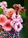 BLISS-025.webp