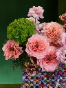 BLISS-020.webp