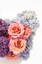 2023-06-12_BLISS_06-9.webp