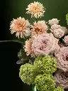Bliss-2332.webp