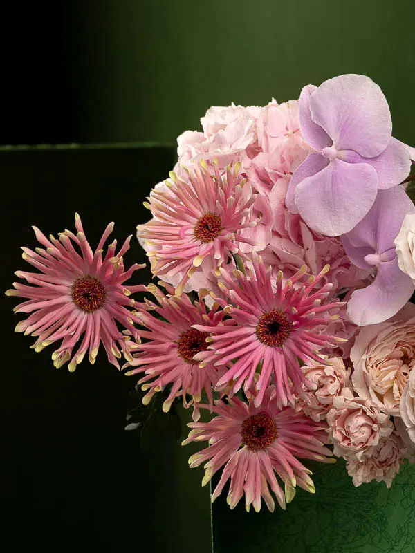 Bliss-2514.webp