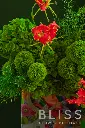 2W0A9623 copy.webp
