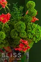 2W0A9622 copy.webp