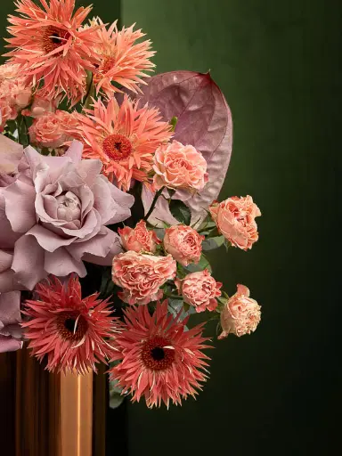 Bliss-2823.webp