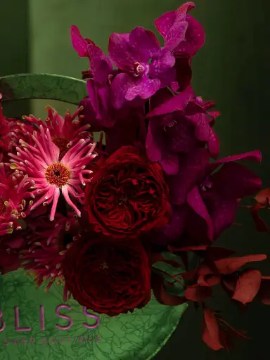 Bliss-2453.webp