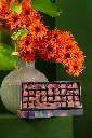 DSC01329_a_websize.webp
