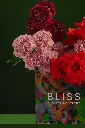 2W0A9640 copy.webp