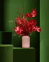 bliss-080.webp