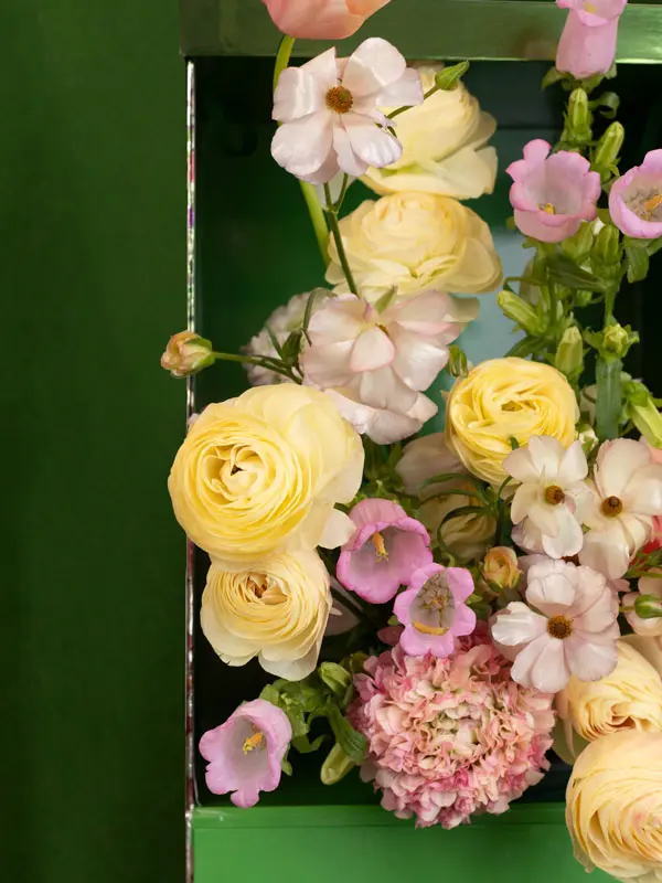 Bliss-shoot-095.webp