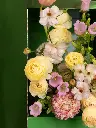 Bliss-shoot-095.webp