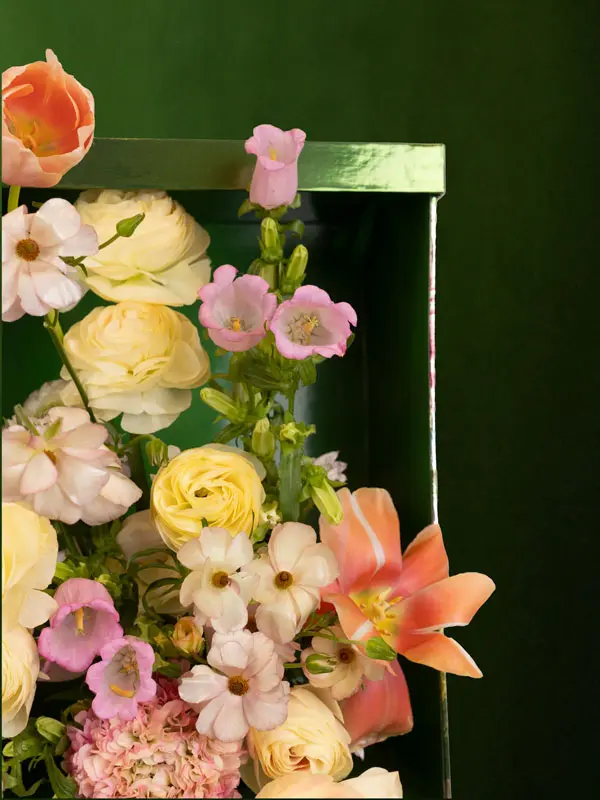 Bliss-shoot-098.webp