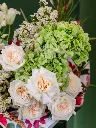 2024-10-21_BLISS-4.webp