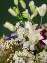 2024-10-21_BLISS-3.webp