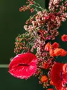 2024-10-21_BLISS-88.webp