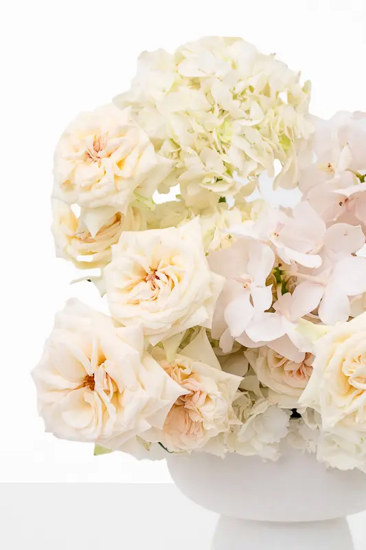 2023-06-12_BLISS_01-10.webp